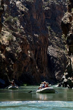 gunnison-gorge-rafting
