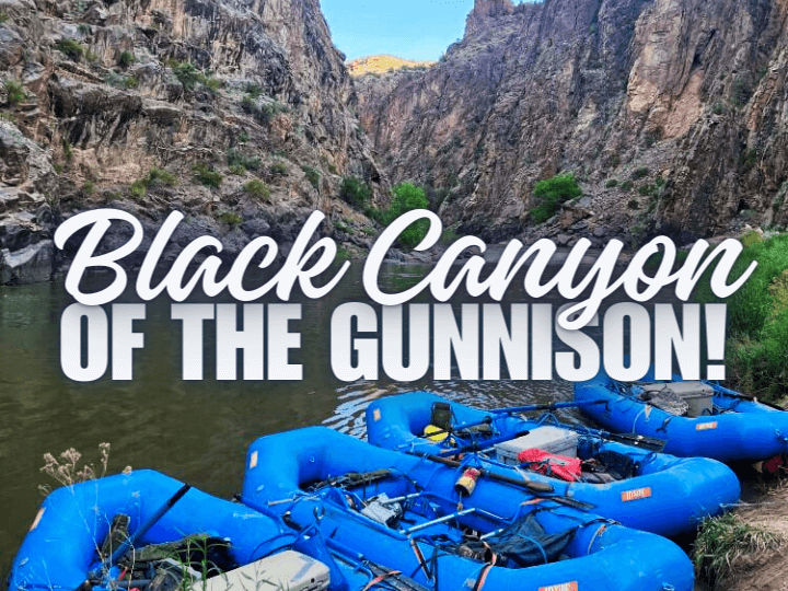 Fly fishing the Black Canyon of the Gunnison